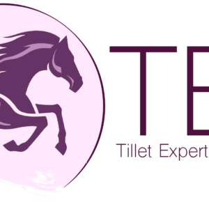 Logo for TEB